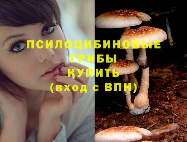 соль курить ск Вяземский