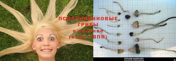 марки lsd Волосово