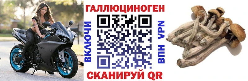 Псилоцибиновые грибы прущие грибы  Юрга 